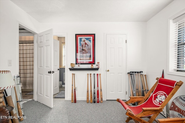 sitting room featuring carpet flooring