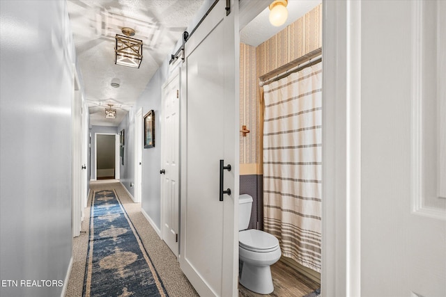 hallway featuring carpet flooring, a textured ceiling, and a barn door