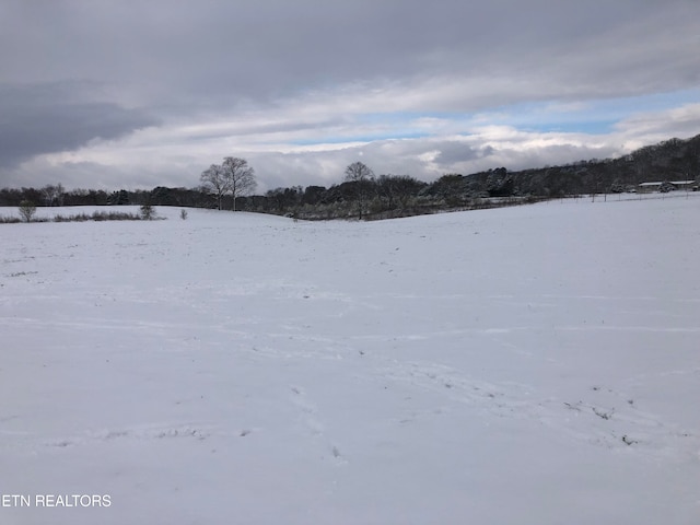 view of yard layered in snow