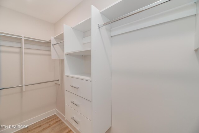 walk in closet featuring light wood-type flooring