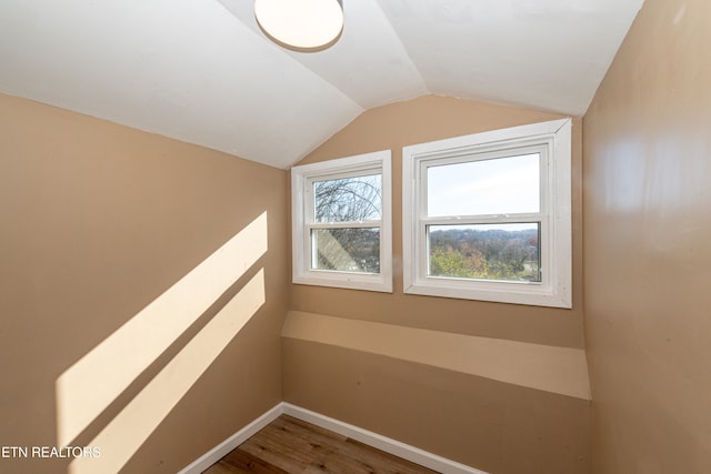 additional living space featuring hardwood / wood-style flooring and vaulted ceiling