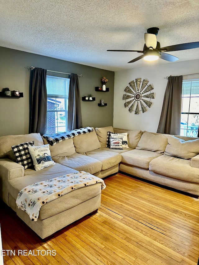 living room featuring ceiling fan, light hardwood / wood-style floors, a wealth of natural light, and a textured ceiling