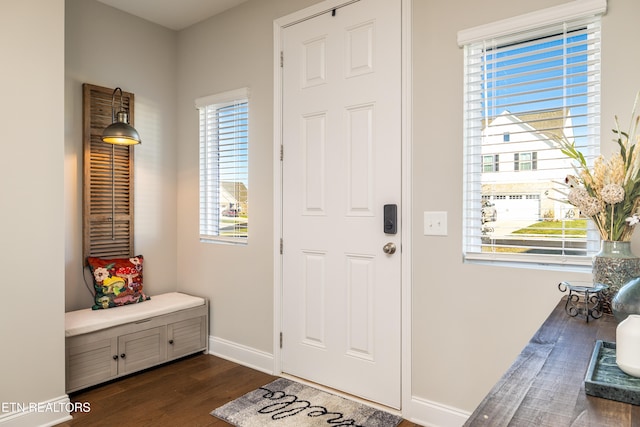 interior space with dark wood-type flooring