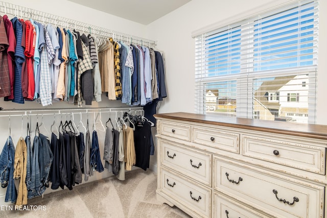 walk in closet with light colored carpet