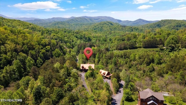 bird's eye view featuring a mountain view