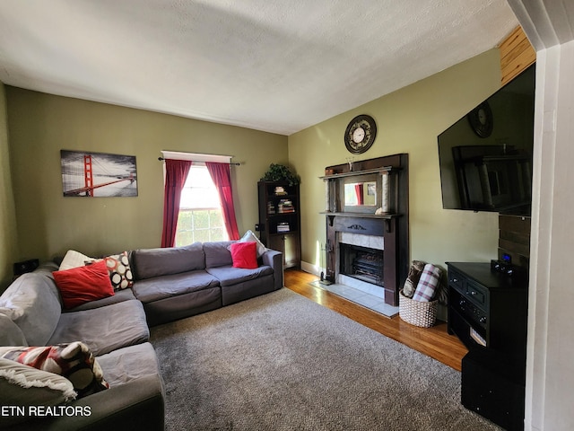 living room with a textured ceiling and hardwood / wood-style flooring