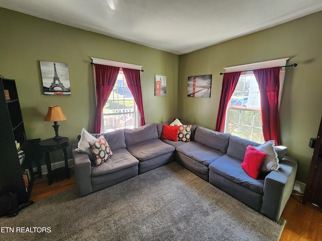 living room featuring hardwood / wood-style flooring and a healthy amount of sunlight