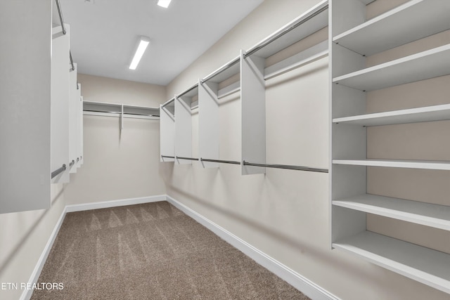 12033 Deer Crossing Dr, Knoxville, TN 37932 - walk in closet with carpet flooring