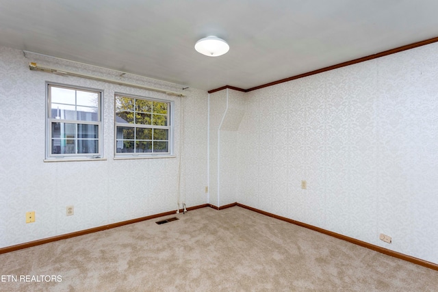 empty room with carpet floors and crown molding