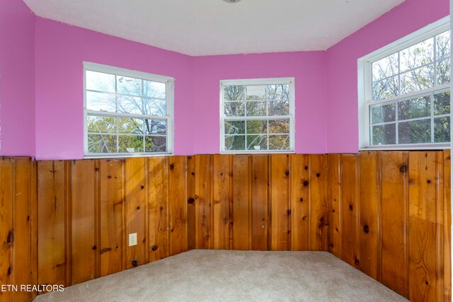 spare room featuring carpet flooring, a healthy amount of sunlight, and wooden walls