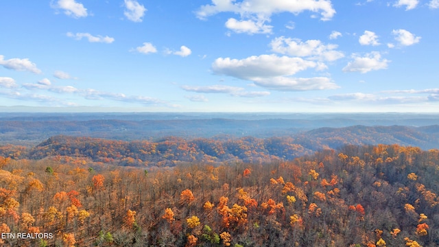 0 Frost Bottom Rd, Oliver Springs, TN 37840 - photo 9