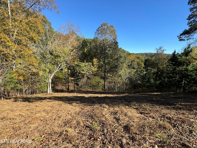 3 Button Buck Ln, Lafollette TN, 37766 land for sale