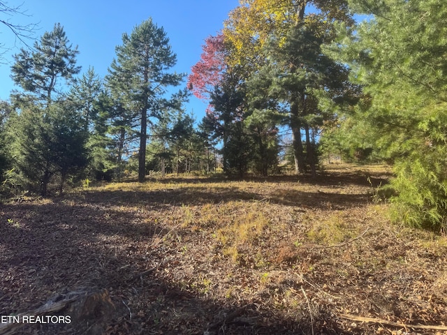 4 Button Buck Ln, Lafollette TN, 37766 land for sale