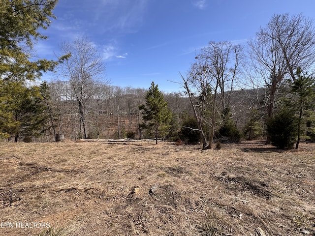 4 Button Buck Ln, Lafollette TN, 37766 land for sale