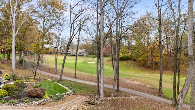 view of home's community featuring a lawn