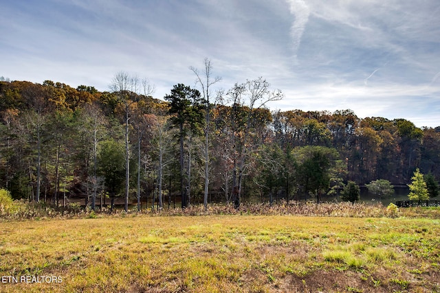 292 Beckets Way, Lenoir City, TN 37772 - photo 7
