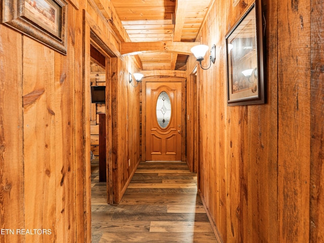 corridor featuring dark hardwood / wood-style floors, wooden ceiling, and wooden walls