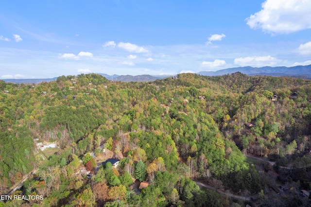 1083 Bryan View Rd, Sevierville, TN 37862 - photo 23