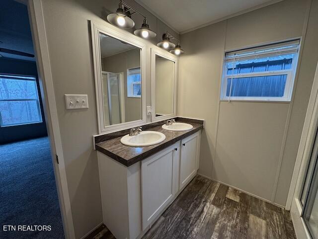 bathroom featuring vanity and hardwood / wood-style flooring