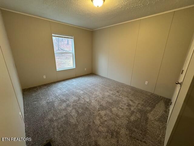 spare room featuring carpet flooring, a textured ceiling, and crown molding