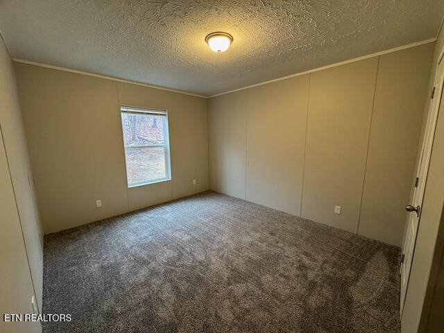 spare room featuring carpet floors, a textured ceiling, and ornamental molding