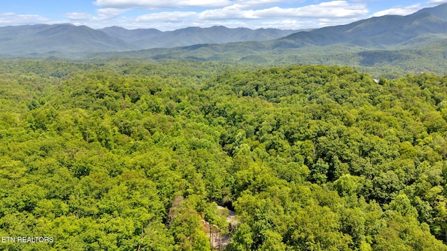 property view of mountains