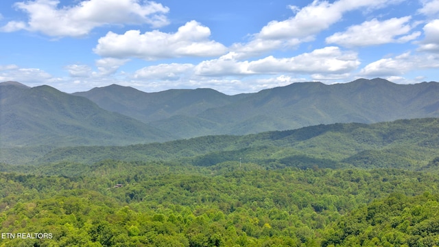 view of mountain feature