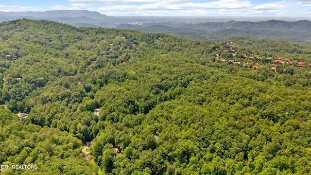 drone / aerial view featuring a mountain view