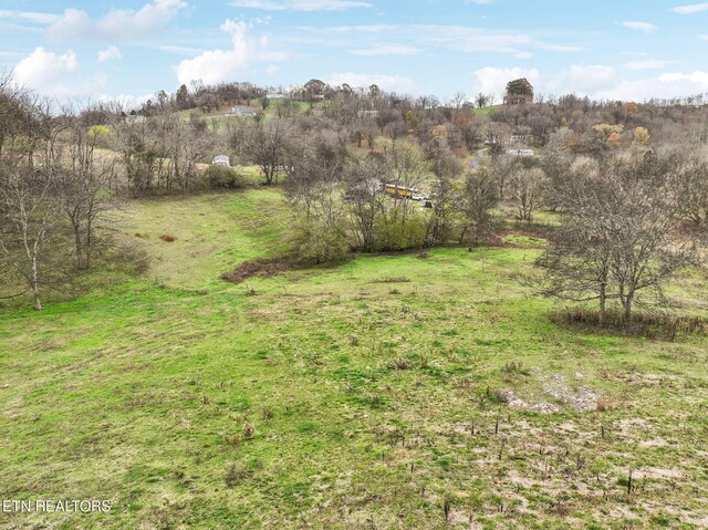 view of yard with a rural view