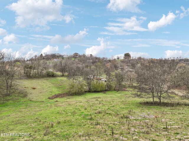 view of yard featuring a rural view