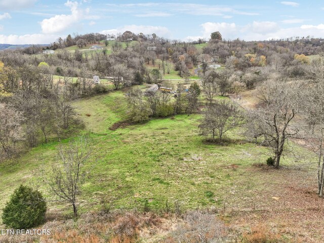 view of landscape with a rural view