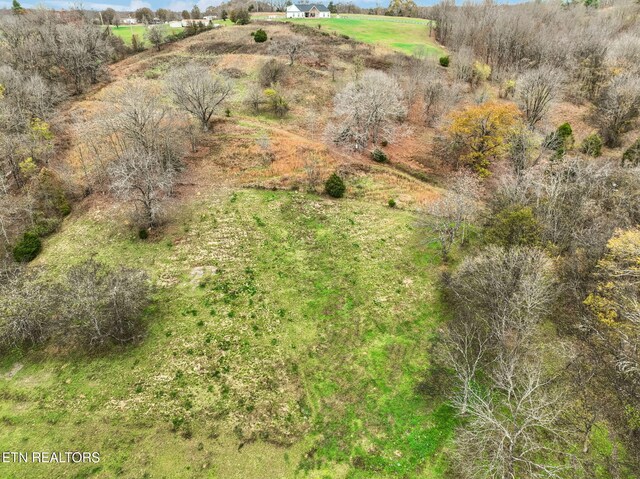 bird's eye view with a rural view