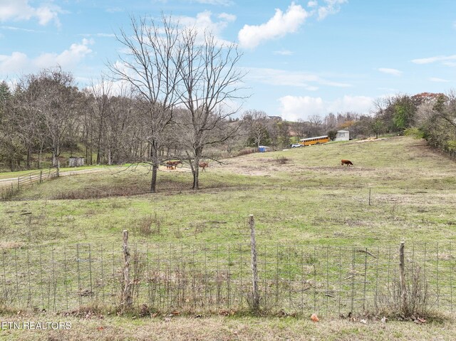 view of yard featuring a rural view