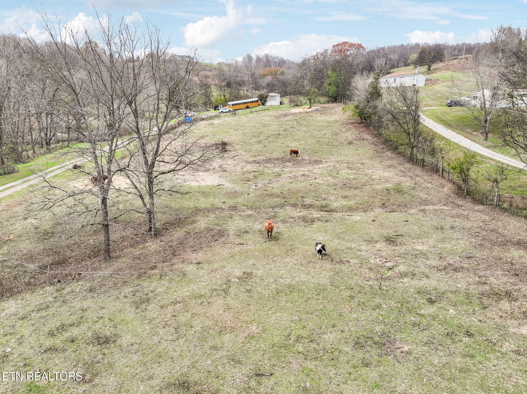 view of yard featuring a rural view