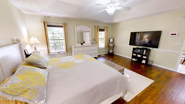 bedroom with dark hardwood / wood-style floors, ceiling fan, and multiple windows