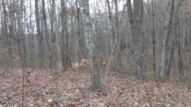 LOT23 Cumberland Cove Rd, Monterey TN, 38574 land for sale