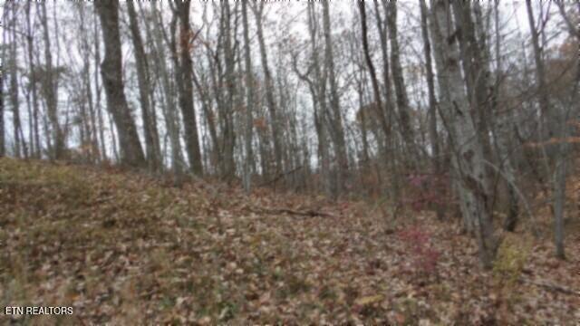 LOT23 Cumberland Cove Rd, Monterey, TN 38574 - photo 5