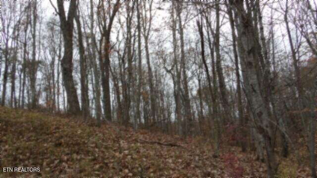 LOT23 Cumberland Cove Rd, Monterey, TN 38574 - photo 6