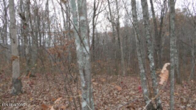 LOT23 Cumberland Cove Rd, Monterey, TN 38574 - photo 10