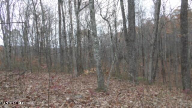LOT23 Cumberland Cove Rd, Monterey, TN 38574 - photo 12