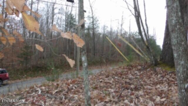 LOT23 Cumberland Cove Rd, Monterey, TN 38574 - photo 15