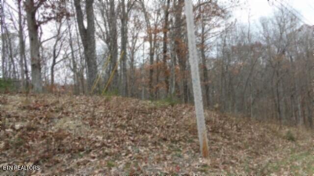 LOT23 Cumberland Cove Rd, Monterey, TN 38574 - photo 17