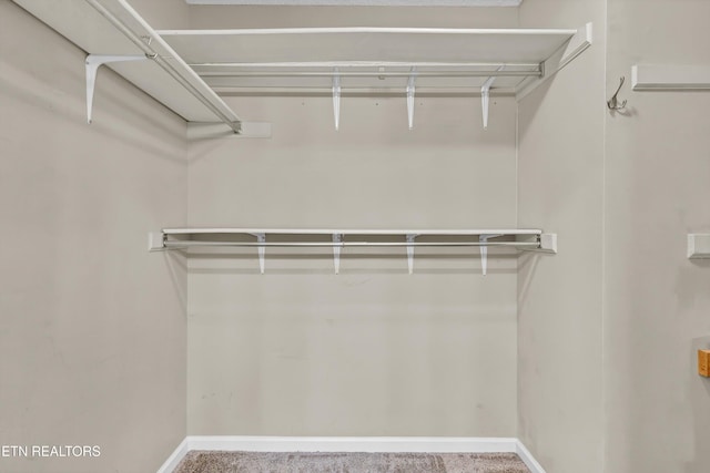 walk in closet with carpet