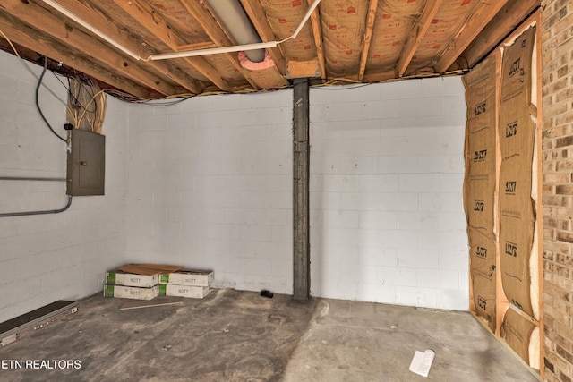 basement with electric panel