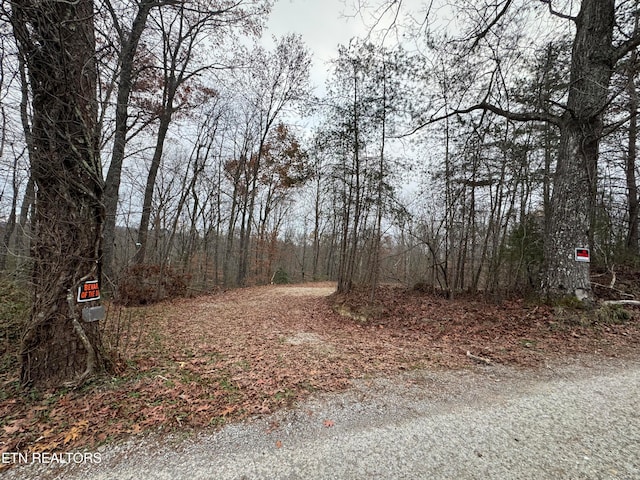 Knotty Pine Ln, Duff TN, 37729 land for sale