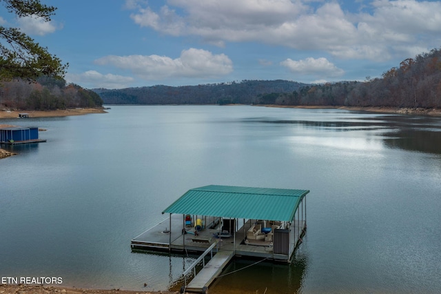 dock area featuring a water view