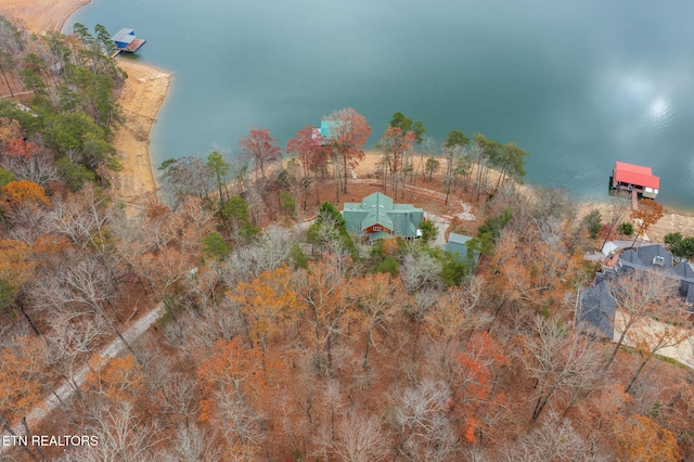 drone / aerial view with a water view