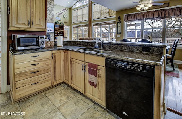 kitchen featuring kitchen peninsula, dishwasher, and plenty of natural light