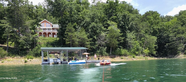 dock area with a water view