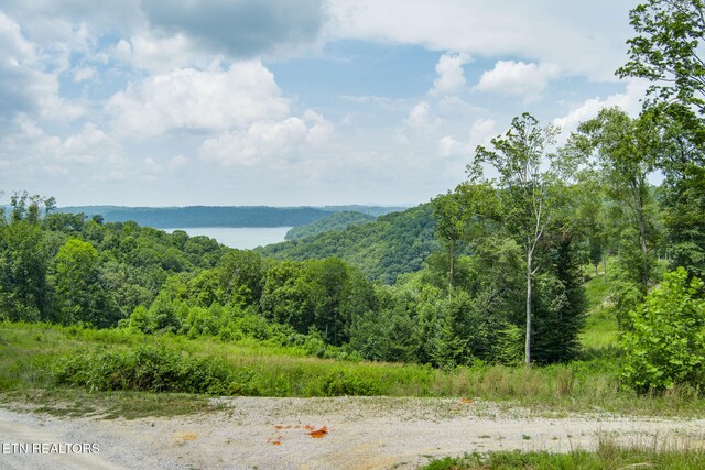 LOT2TR2 Taylor Rd, Byrdstown TN, 38549 land for sale